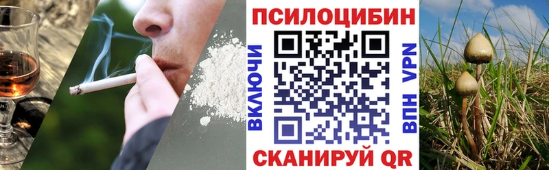 Галлюциногенные грибы GOLDEN TEACHER  купить  цена  KRAKEN рабочий сайт  Петухово 